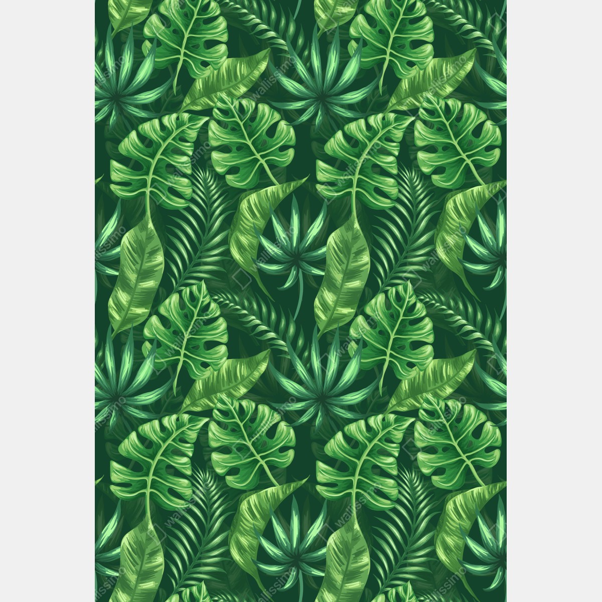 Fototapeta tropikalny wzór z liśćmi monstery – Wallissimo® Fototapeta tropikalny wzór z liśćmi monstery – Wallissimo®