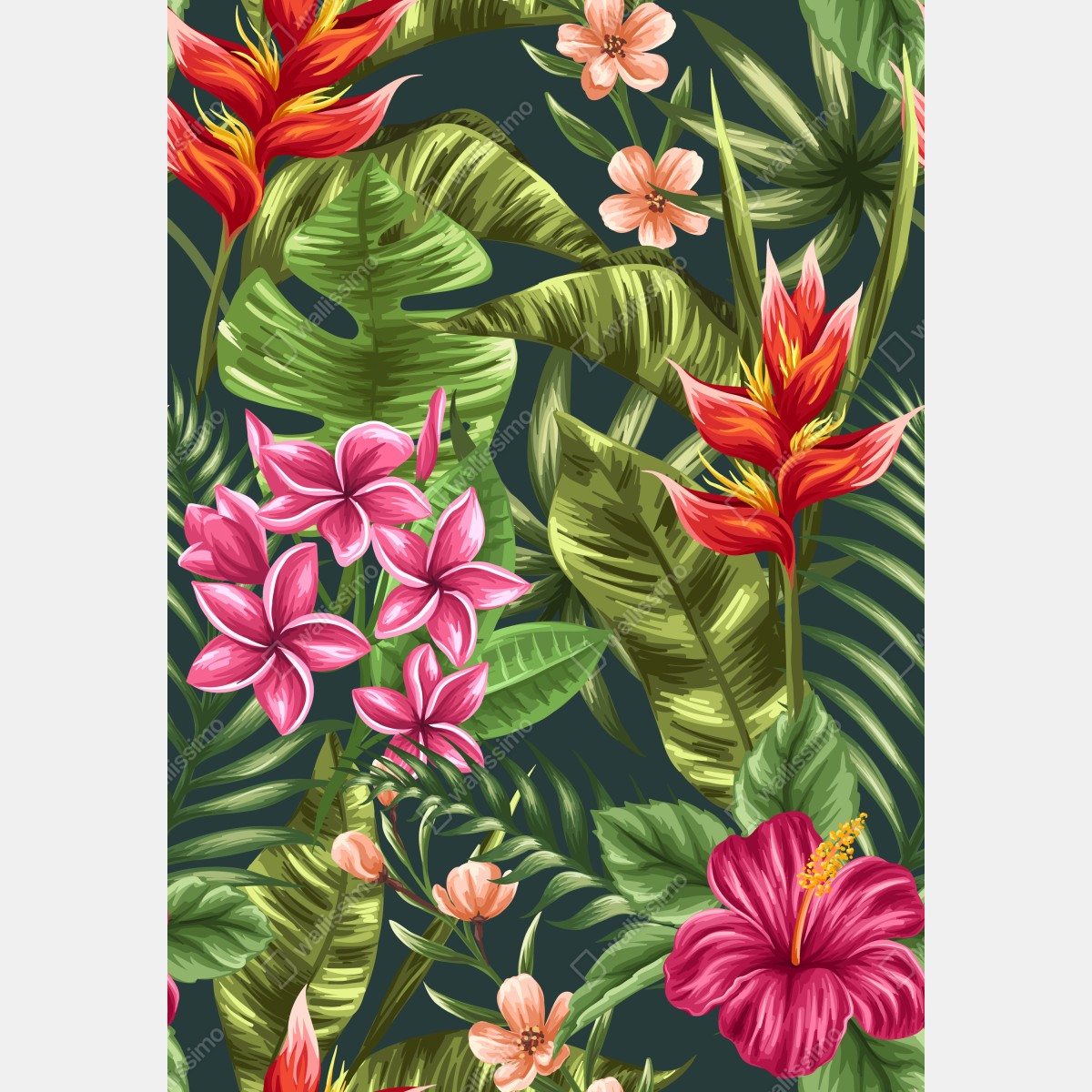 Fototapeta tropikalny wzór hibiskusa i plumerii – Wallissimo® Fototapeta tropikalny wzór hibiskusa i plumerii – Wallissimo®
