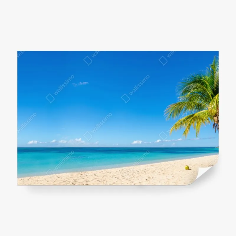 Fototapeta delikatny tropikalny motyw hibiskusa – Wallissimo®