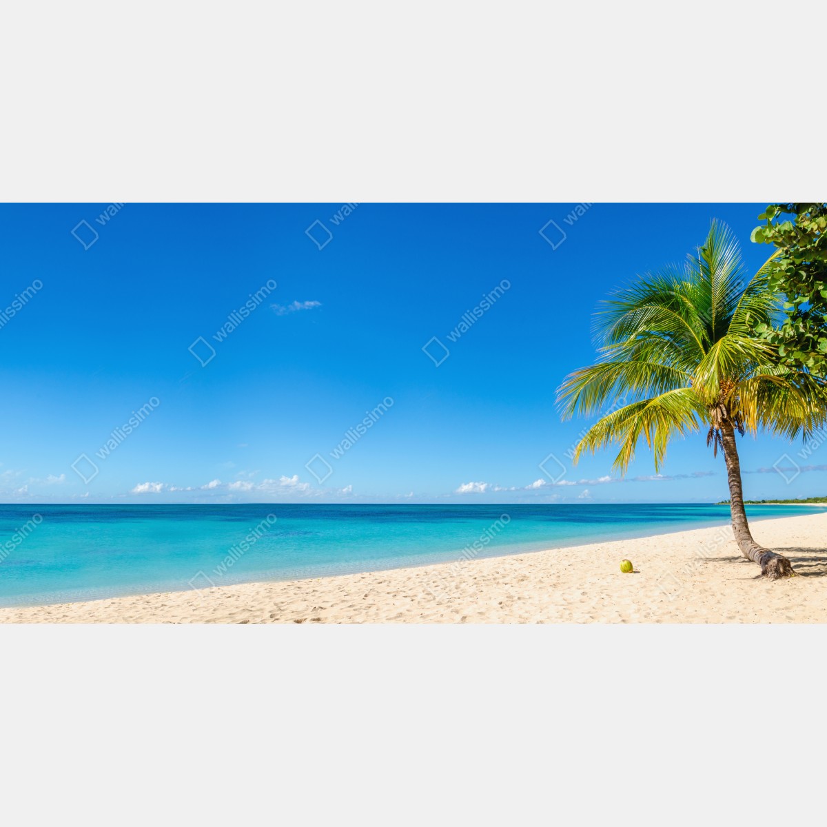 Fototapeta tropikalna plaża z turkusową wodą i palmą – Wallissimo® Fototapeta tropikalna plaża z turkusową wodą i palmą – Wallissimo®