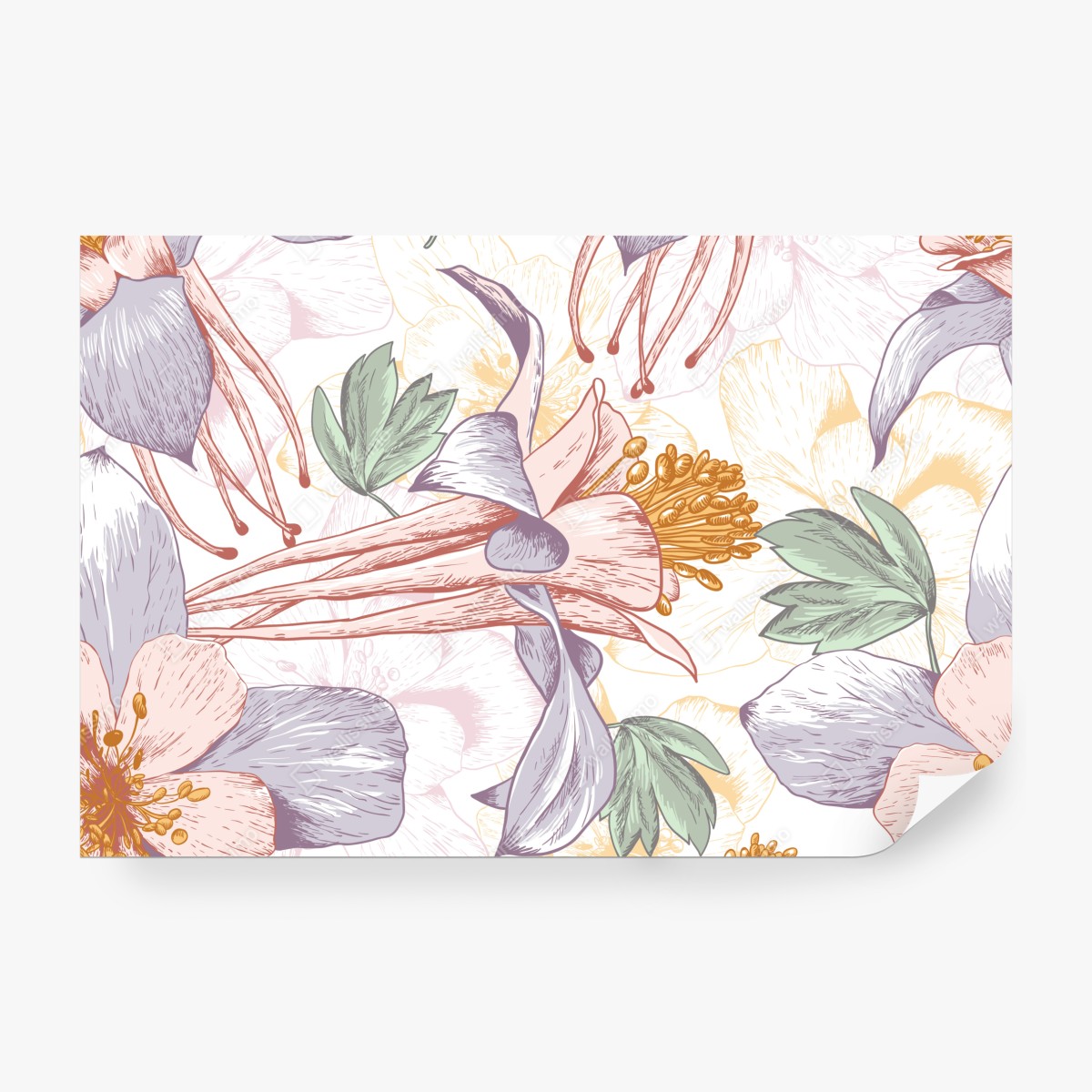 Fototapeta delikatne pastelowe kwiaty w stylu botanicznym – Wallissimo® Fototapeta delikatne pastelowe kwiaty w stylu botanicznym – Wallissimo®