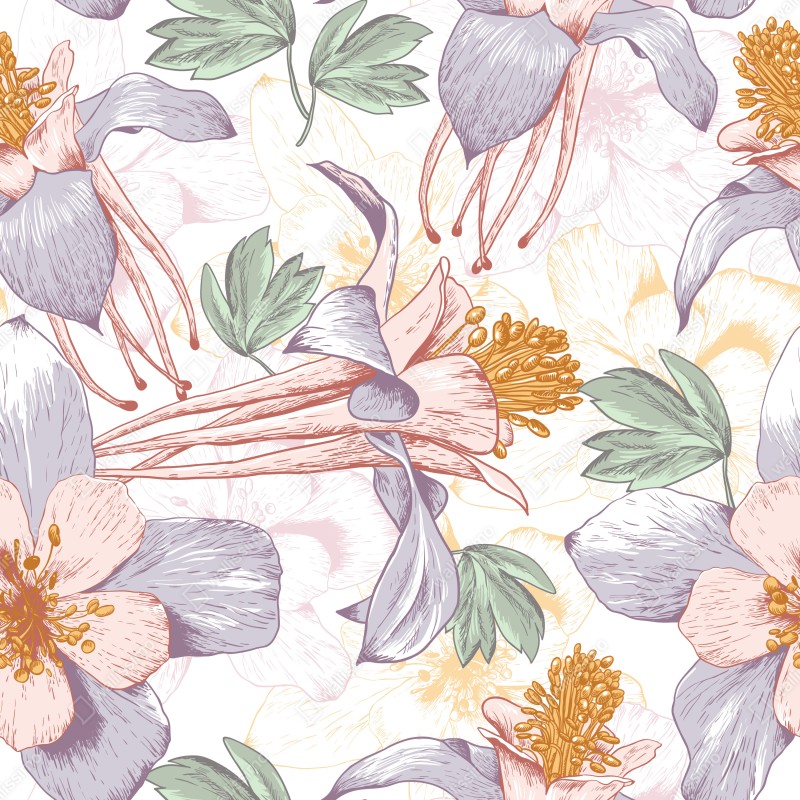 Fototapeta delikatne pastelowe kwiaty w stylu botanicznym – Wallissimo® Fototapeta delikatne pastelowe kwiaty w stylu botanicznym – Wallissimo®