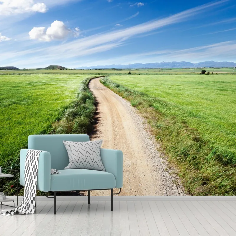 Wall mural winding country road through green meadows