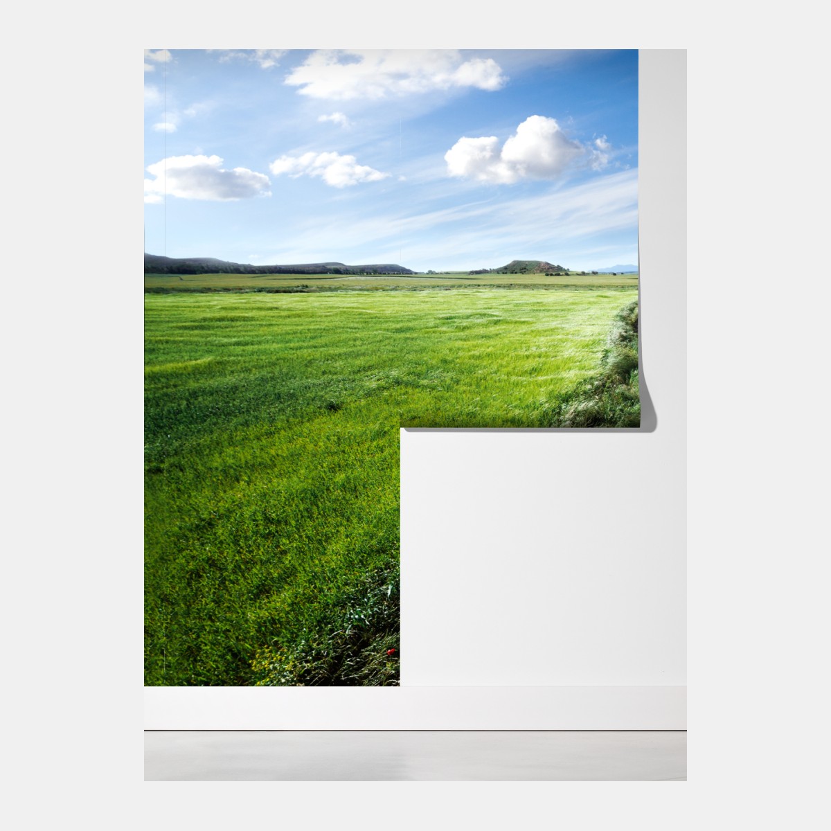 Fototapeta wijąca się wiejska droga przez zielone łąki – Wallissimo® Fototapeta wijąca się wiejska droga przez zielone łąki – Wallissimo®