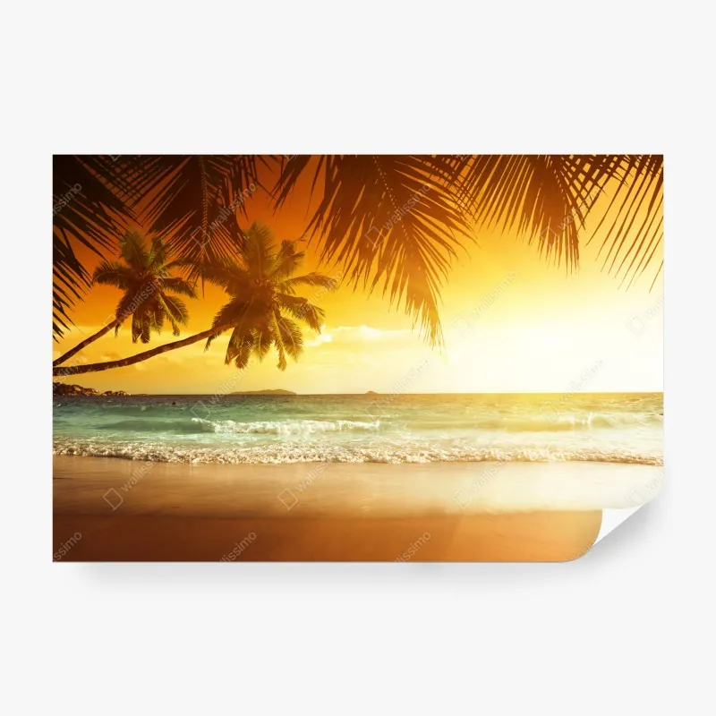 Fototapeta zimowy las w delikatnej mgle – Wallissimo®