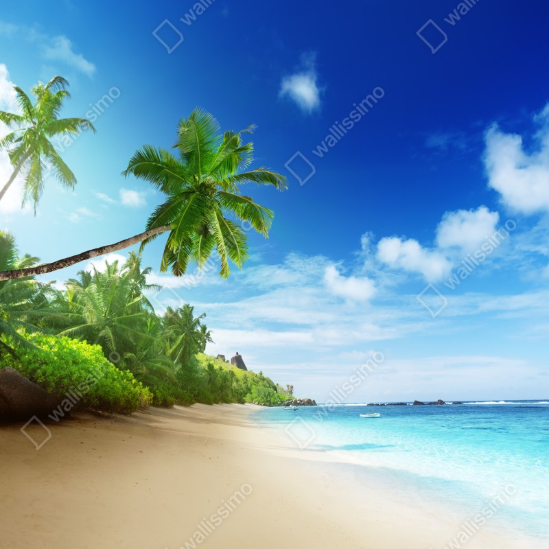 Fototapeta zachód słońca na plaży Mahe, Seszele – Wallissimo® Fototapeta zachód słońca na plaży Mahe, Seszele – Wallissimo®