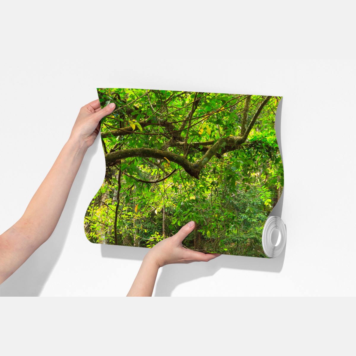 Fototapeta wiszący drewniany most w zielonym lesie – Wallissimo® Fototapeta wiszący drewniany most w zielonym lesie – Wallissimo®