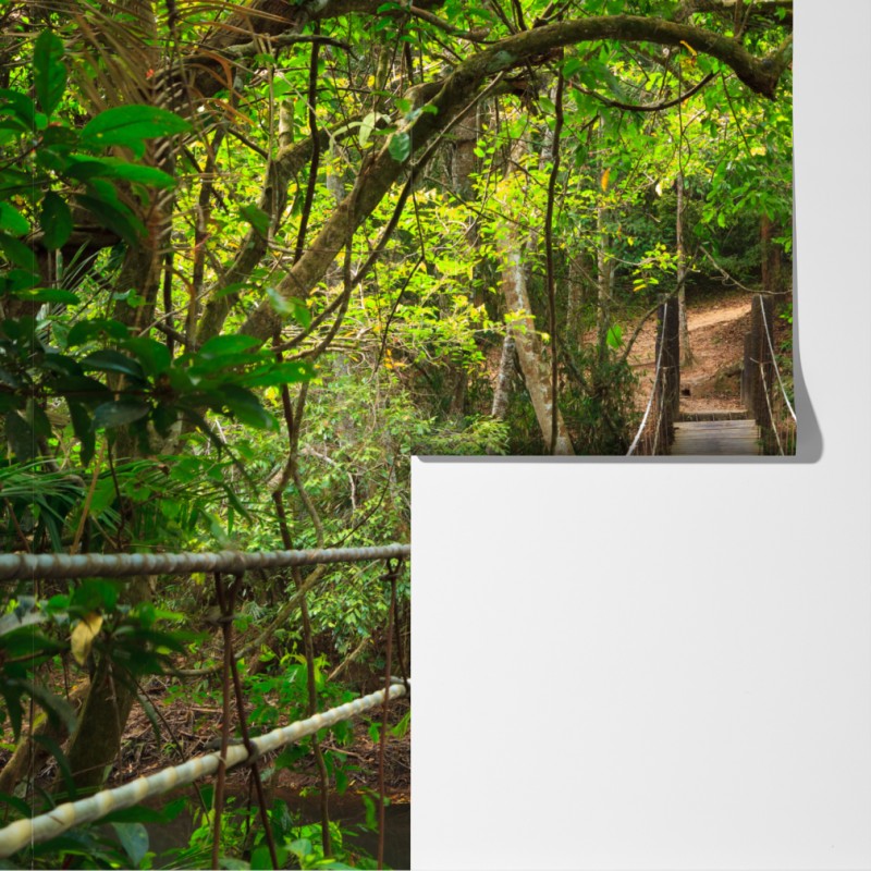 Fototapeta wiszący drewniany most w zielonym lesie – Wallissimo® Fototapeta wiszący drewniany most w zielonym lesie – Wallissimo®