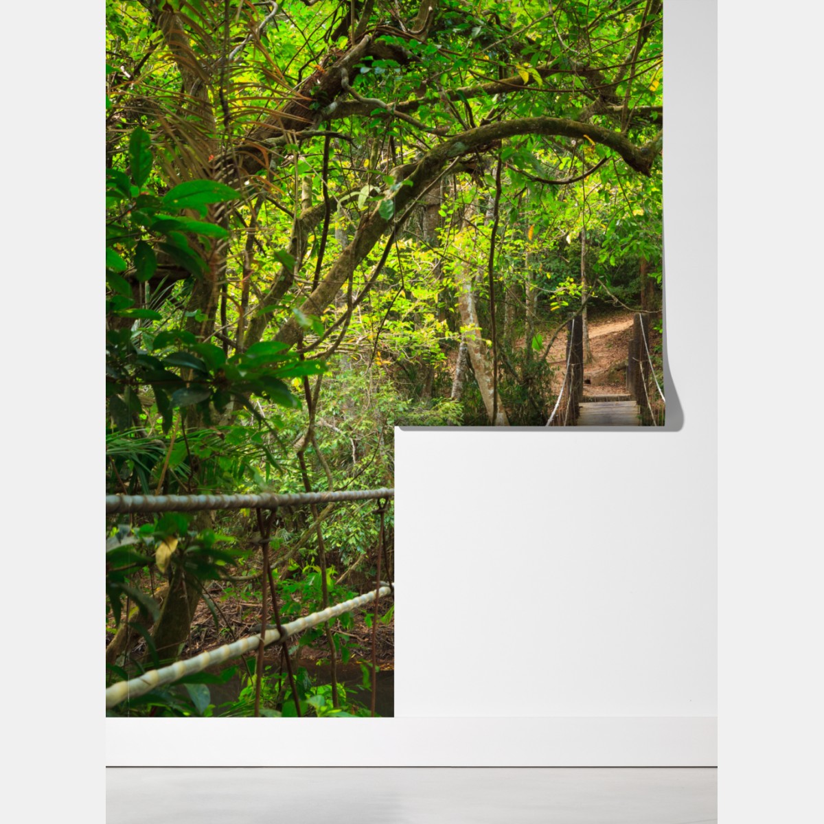 Fototapeta wiszący drewniany most w zielonym lesie – Wallissimo® Fototapeta wiszący drewniany most w zielonym lesie – Wallissimo®