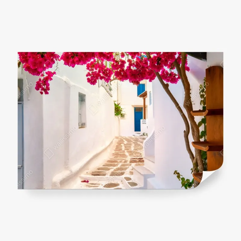 Wall mural sunlit Greek alley with bougainvillea