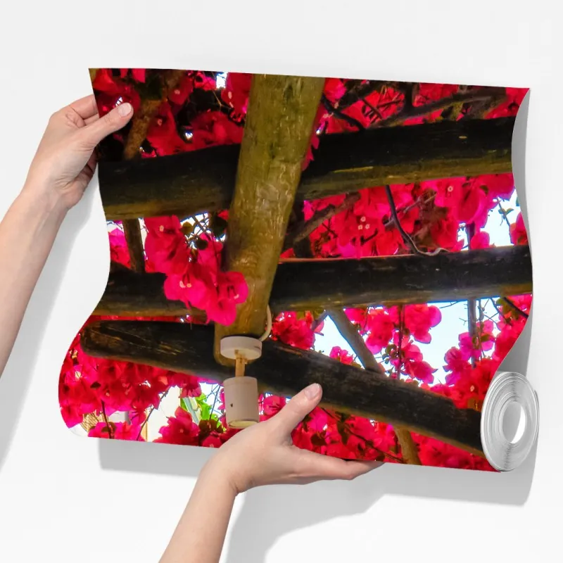 Fototapeta słoneczna uliczka grecka z bugenwillą – Wallissimo® Fototapeta słoneczna uliczka grecka z bugenwillą – Wallissimo®