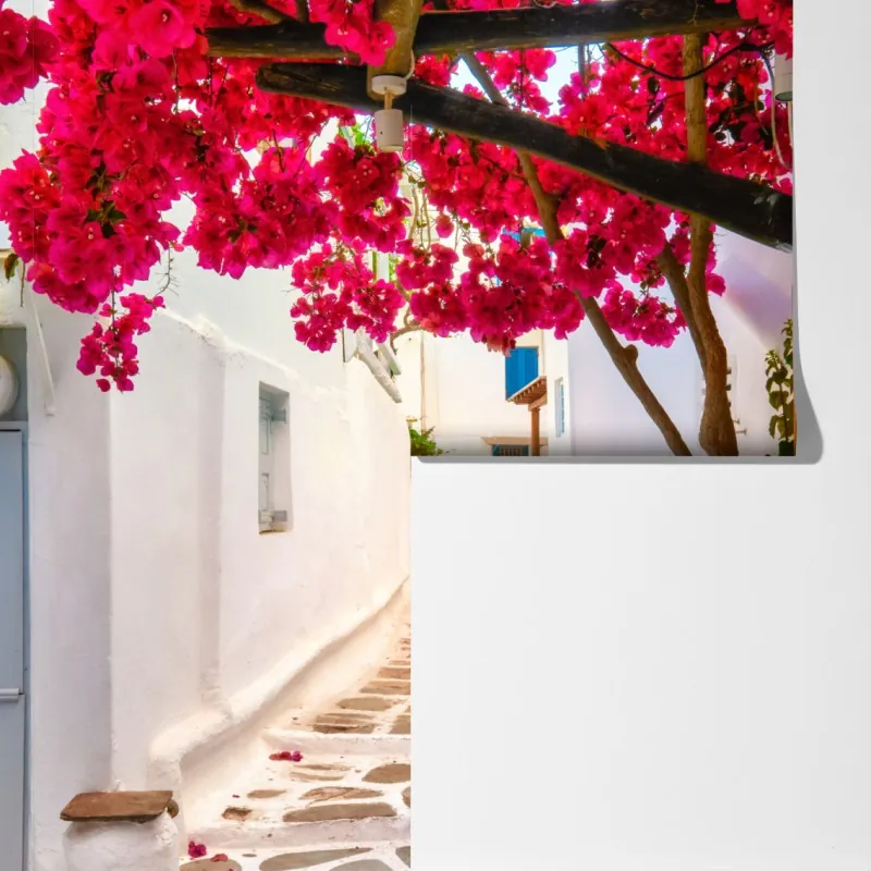 Fototapeta słoneczna uliczka grecka z bugenwillą – Wallissimo® Fototapeta słoneczna uliczka grecka z bugenwillą – Wallissimo®