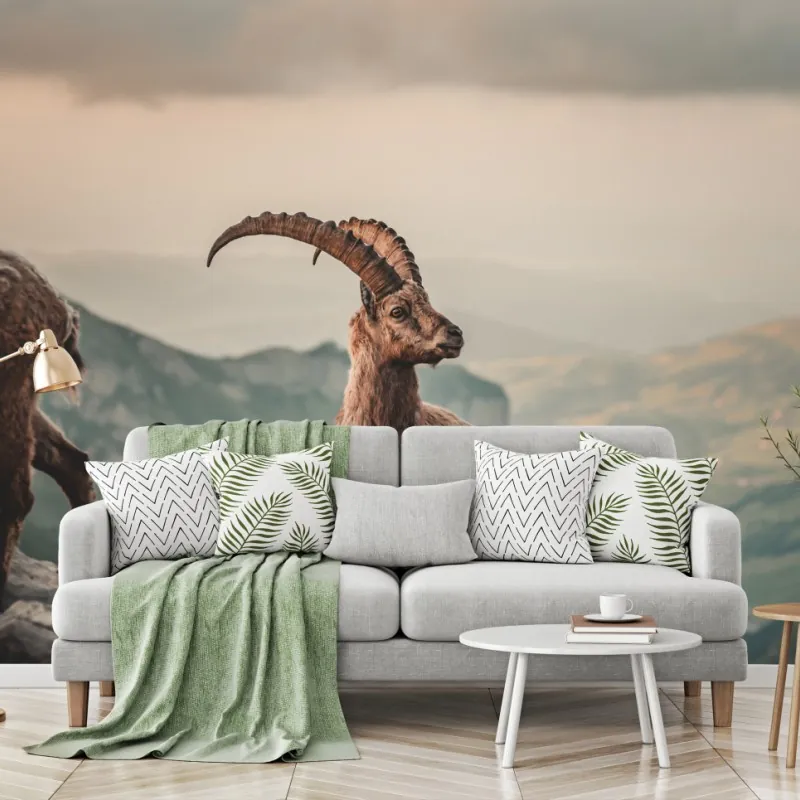 Fototapeta kozica alpejska na skalistym grzbiecie – Wallissimo® Fototapeta kozica alpejska na skalistym grzbiecie – Wallissimo®