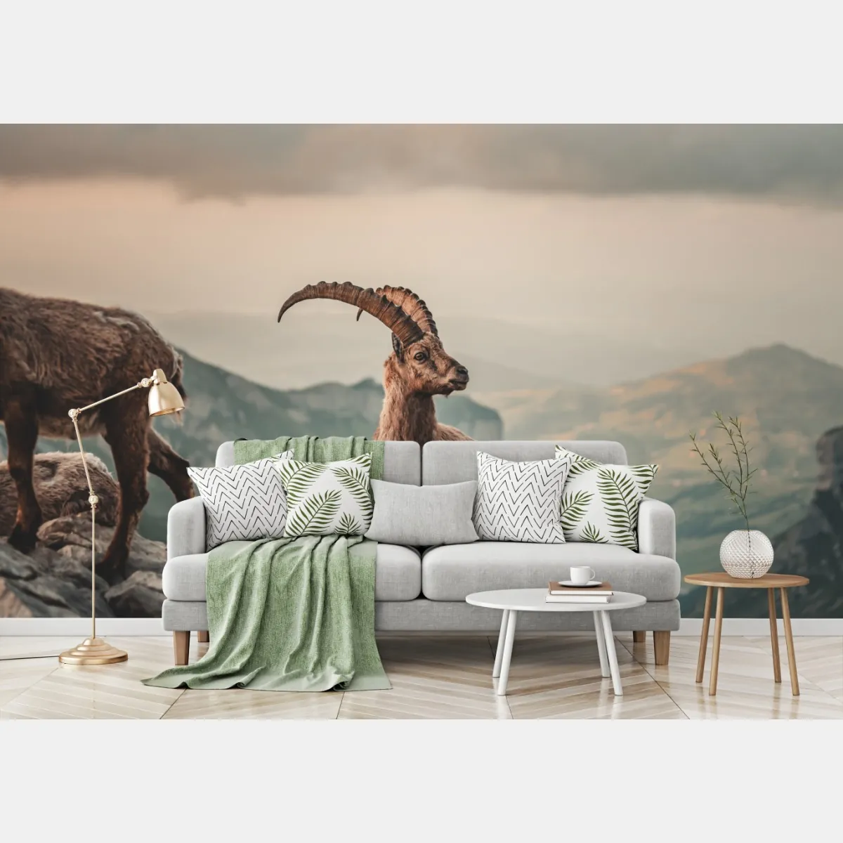 Fototapeta kozica alpejska na skalistym grzbiecie – Wallissimo® Fototapeta kozica alpejska na skalistym grzbiecie – Wallissimo®