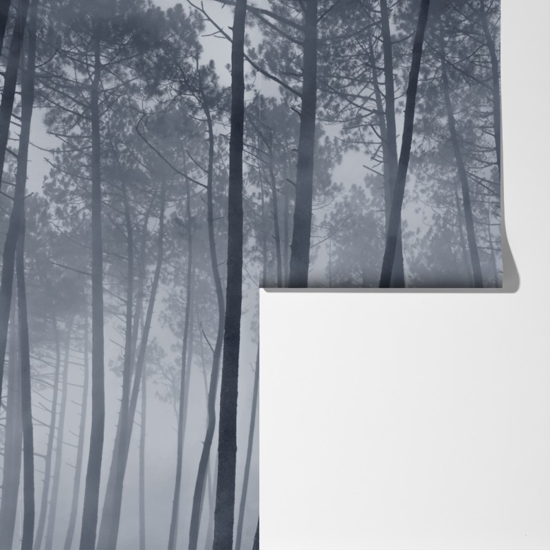 Fototapeta mglisty sosnowy las nocą – Wallissimo® Fototapeta mglisty sosnowy las nocą – Wallissimo®