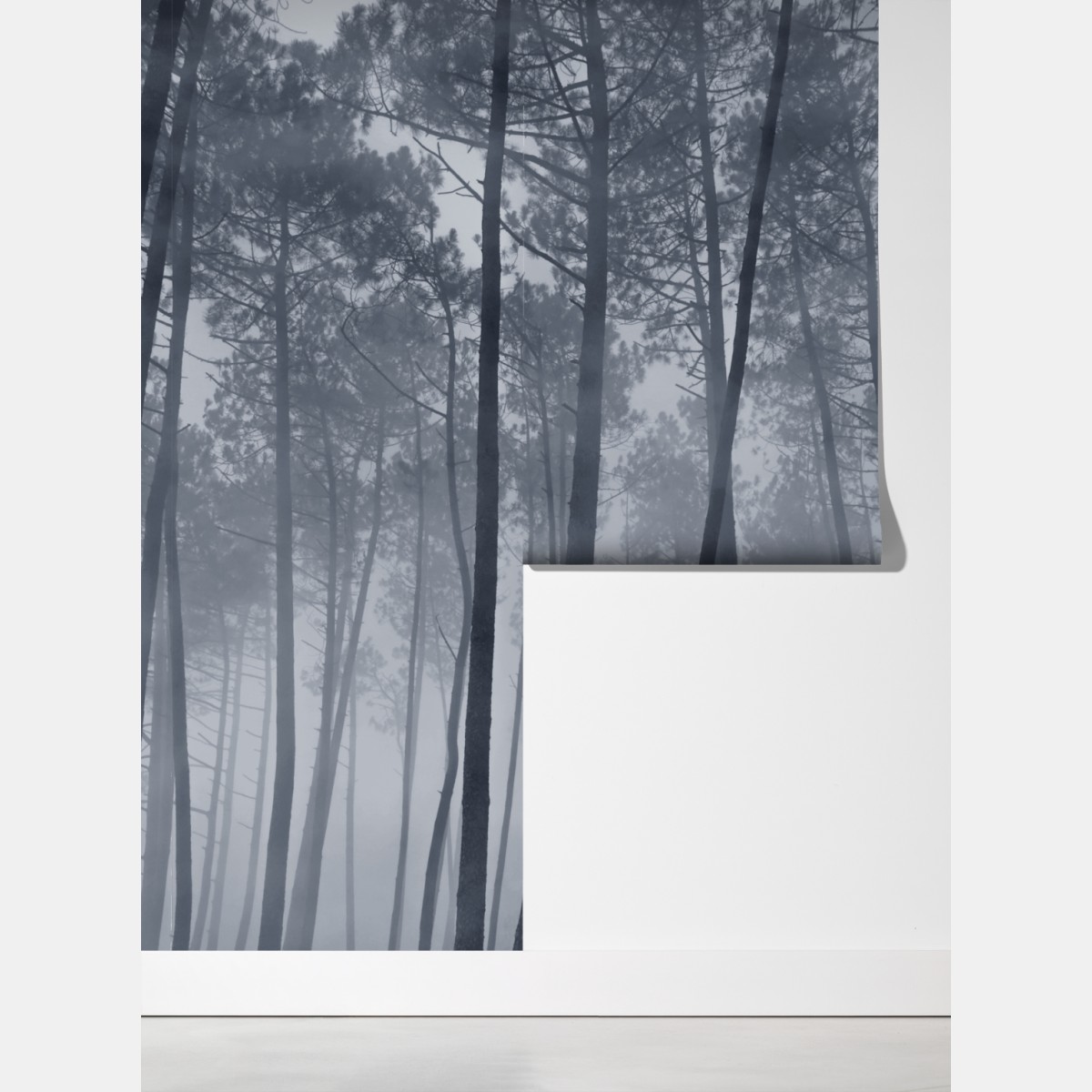 Fototapeta mglisty sosnowy las nocą – Wallissimo® Fototapeta mglisty sosnowy las nocą – Wallissimo®