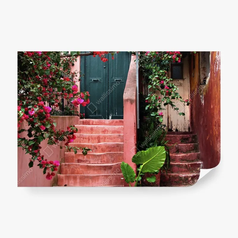 Wall mural bougainvillea stairway entrance
