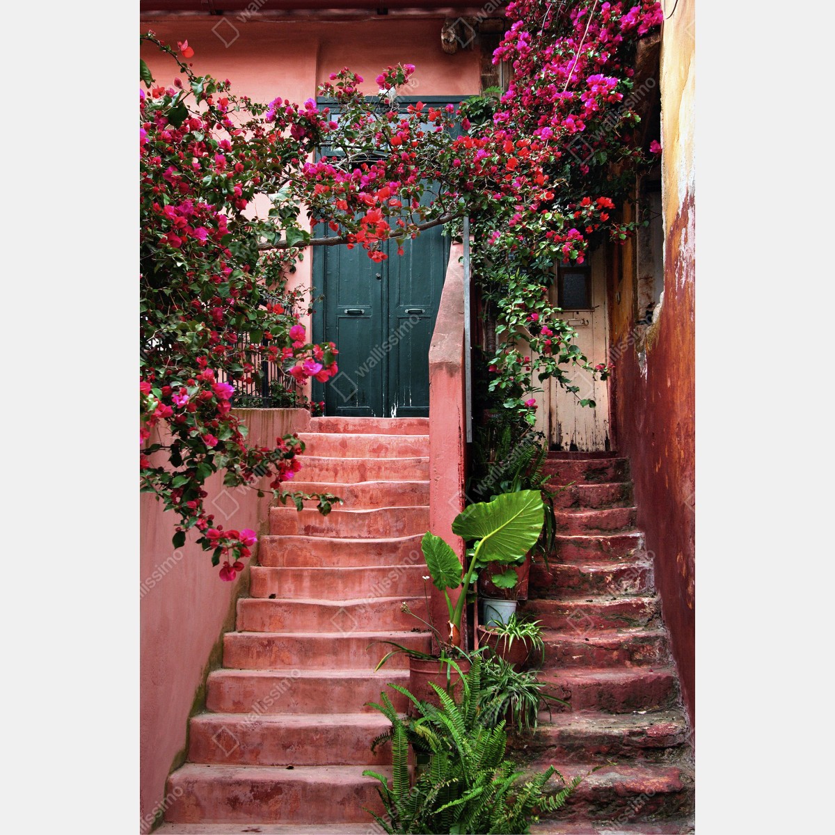 Fototapeta schody z bugenwillą i zielenią – Wallissimo® Fototapeta schody z bugenwillą i zielenią – Wallissimo®