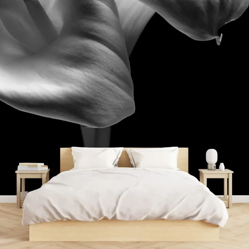 Wall mural elegant calla lilies in monochrome