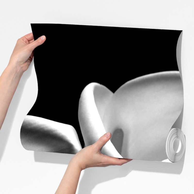 Fototapeta eleganckie kielichy kalii w monochromie – Wallissimo® Fototapeta eleganckie kielichy kalii w monochromie – Wallissimo®