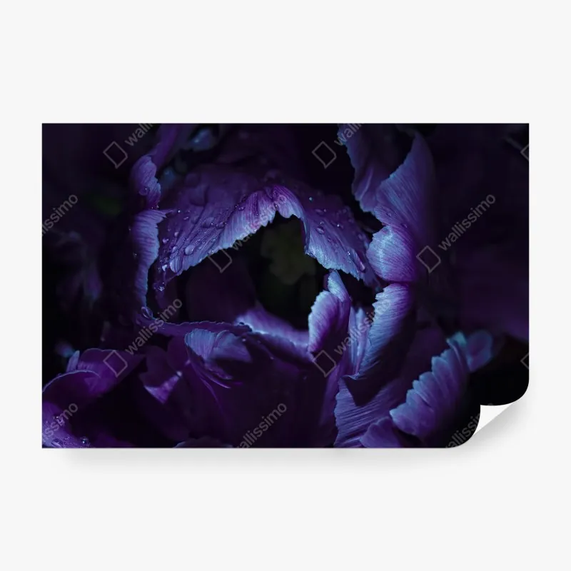 Fototapeta wschód słońca nad Epupa Falls i rzeką Kunene – Wallissimo®