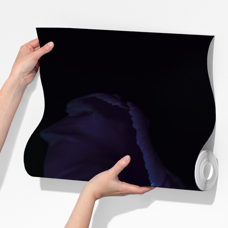 Fototapeta fioletowy tulipan w ultrafiolecie – Wallissimo® Fototapeta fioletowy tulipan w ultrafiolecie – Wallissimo®