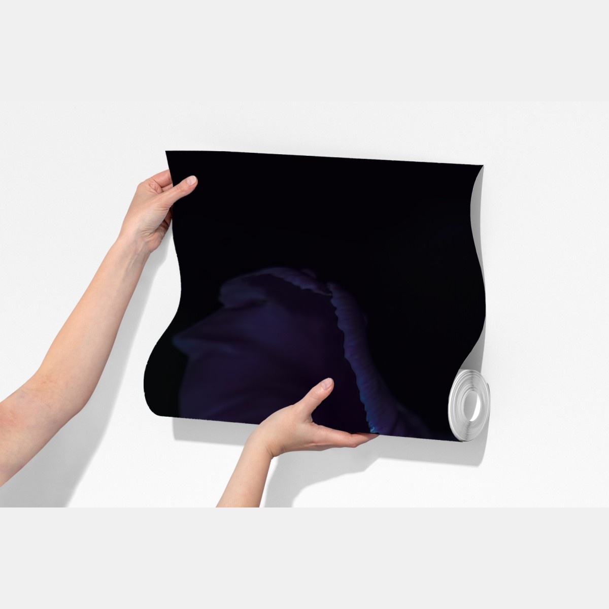 Fototapeta fioletowy tulipan w ultrafiolecie – Wallissimo® Fototapeta fioletowy tulipan w ultrafiolecie – Wallissimo®