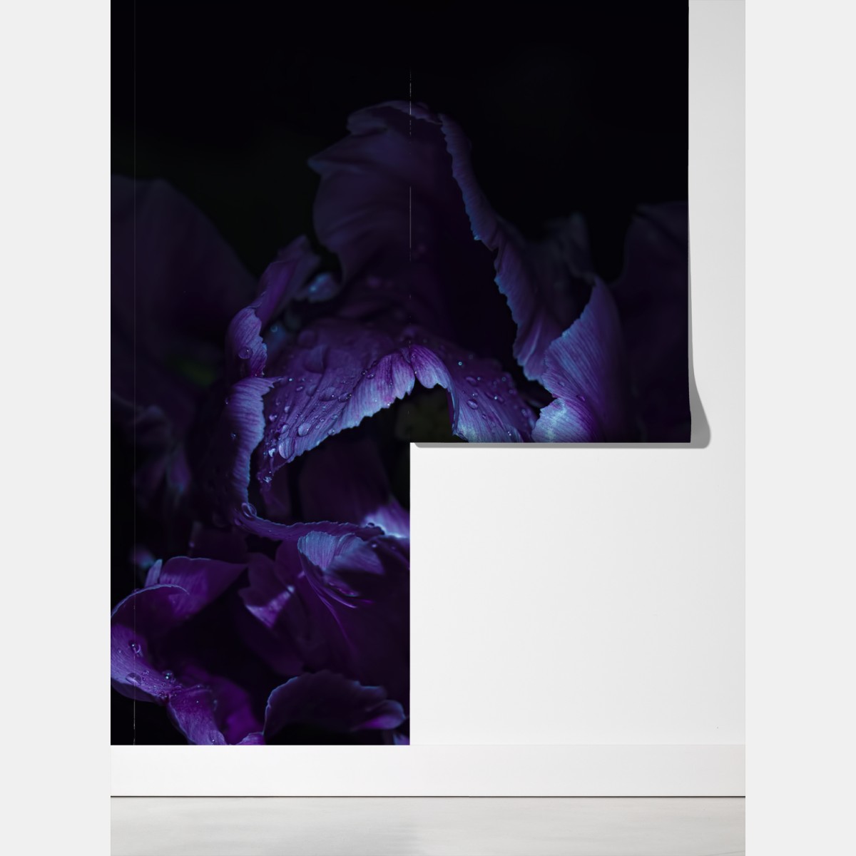 Fototapeta fioletowy tulipan w ultrafiolecie – Wallissimo® Fototapeta fioletowy tulipan w ultrafiolecie – Wallissimo®