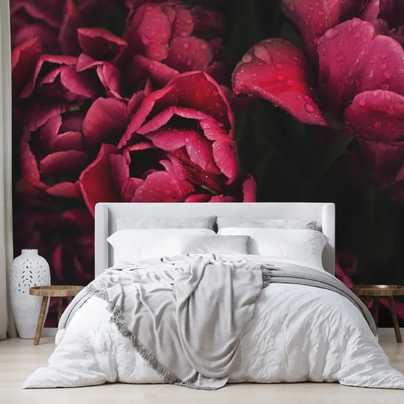 Wall mural deep crimson blooms with raindrops