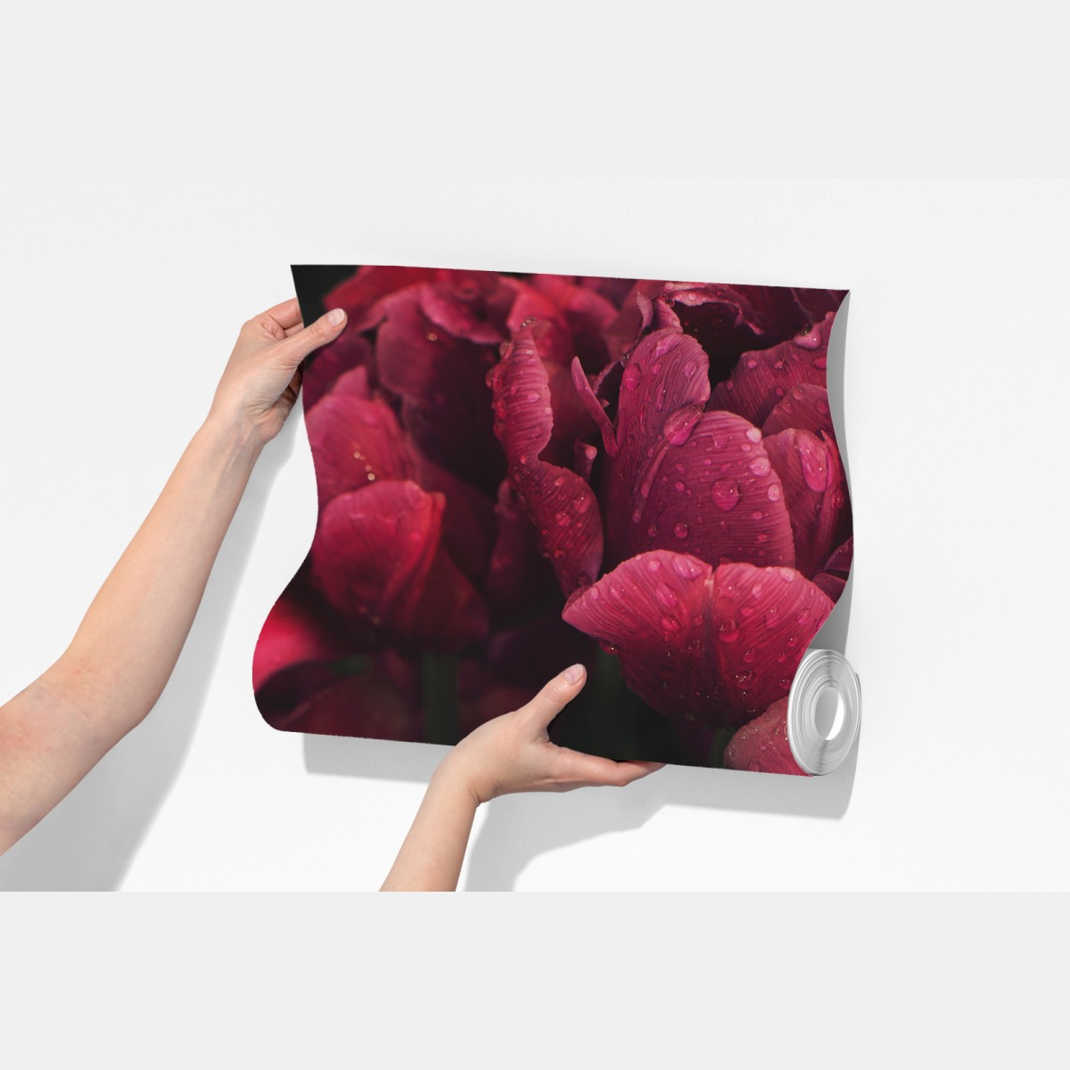 Fototapeta głębokie bordowe kwiaty z kroplami wody – Wallissimo® Fototapeta głębokie bordowe kwiaty z kroplami wody – Wallissimo®