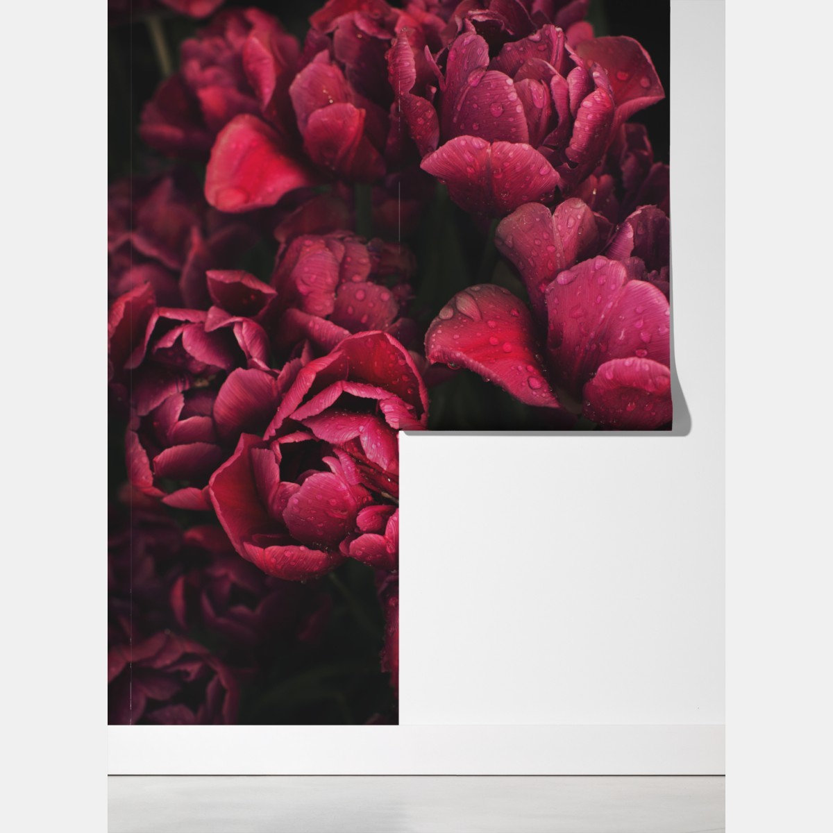 Fototapeta głębokie bordowe kwiaty z kroplami wody – Wallissimo® Fototapeta głębokie bordowe kwiaty z kroplami wody – Wallissimo®