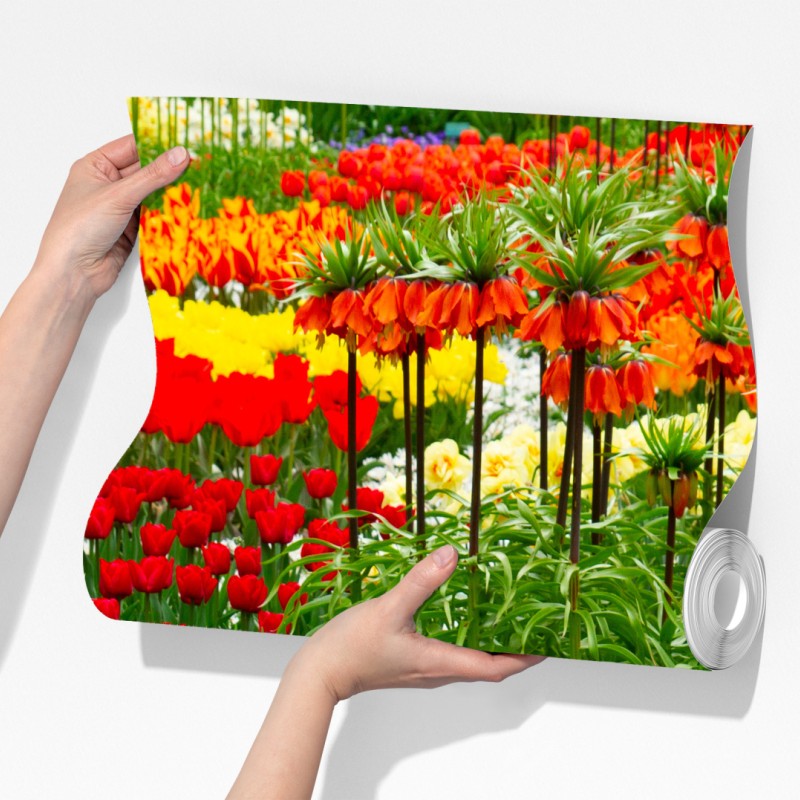 Fototapeta żywy wiosenny ogród kwiatowy – Wallissimo® Fototapeta żywy wiosenny ogród kwiatowy – Wallissimo®