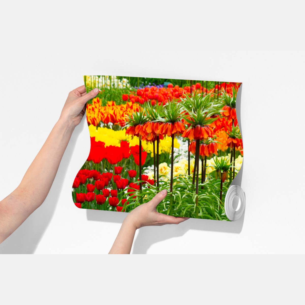 Fototapeta żywy wiosenny ogród kwiatowy – Wallissimo® Fototapeta żywy wiosenny ogród kwiatowy – Wallissimo®