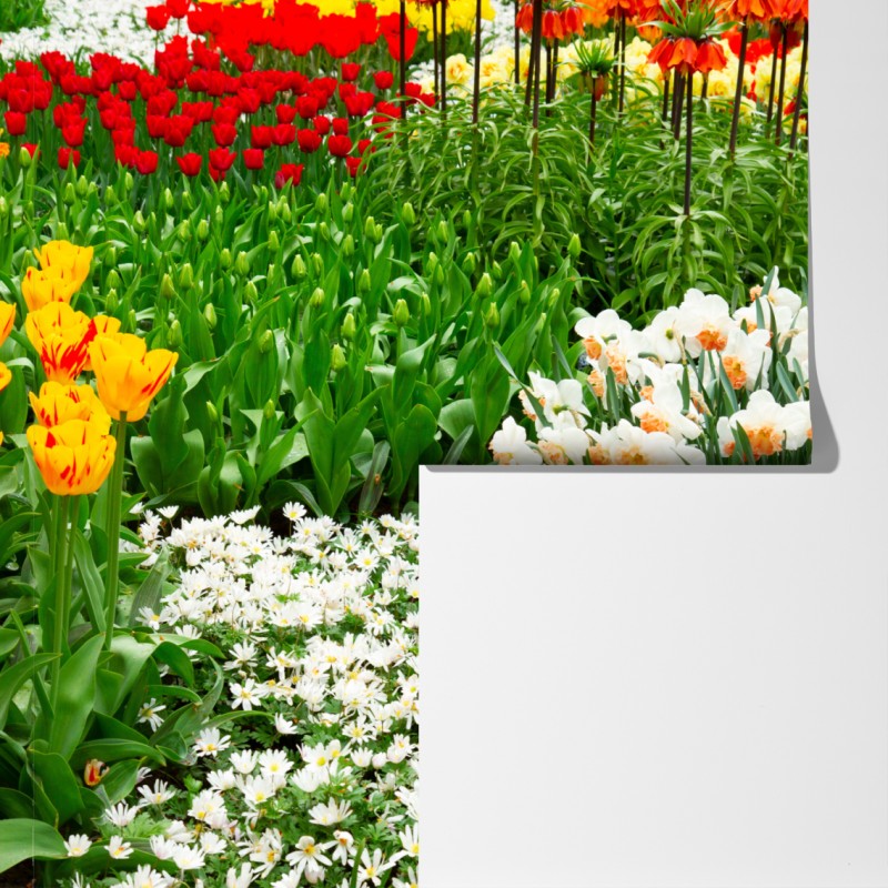Fototapeta żywy wiosenny ogród kwiatowy – Wallissimo® Fototapeta żywy wiosenny ogród kwiatowy – Wallissimo®