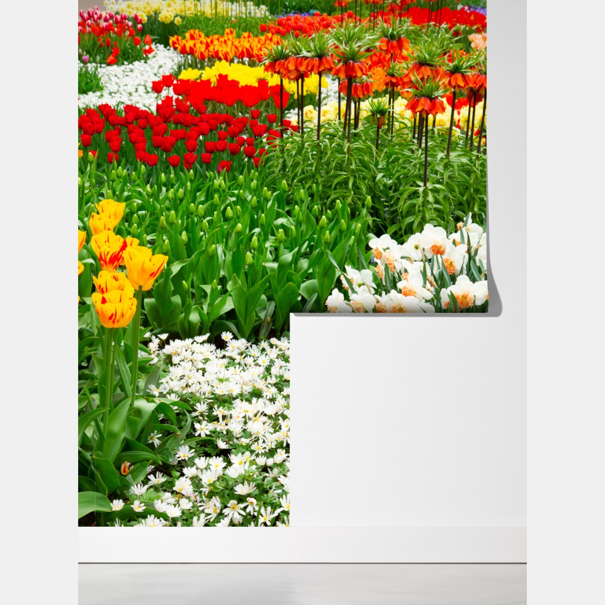 Fototapeta żywy wiosenny ogród kwiatowy – Wallissimo® Fototapeta żywy wiosenny ogród kwiatowy – Wallissimo®