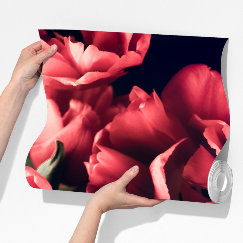 Fototapeta nastrojowy różowy bukiet tulipanów – Wallissimo® Fototapeta nastrojowy różowy bukiet tulipanów – Wallissimo®