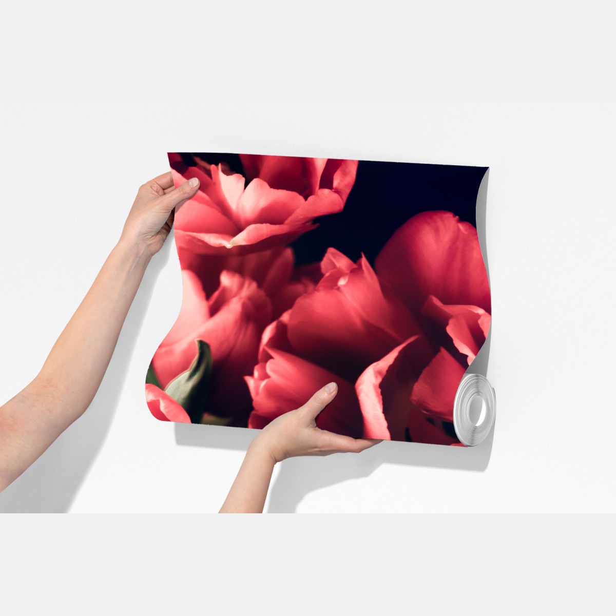 Fototapeta nastrojowy różowy bukiet tulipanów – Wallissimo® Fototapeta nastrojowy różowy bukiet tulipanów – Wallissimo®