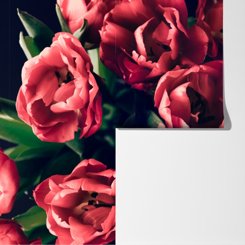 Fototapeta nastrojowy różowy bukiet tulipanów – Wallissimo® Fototapeta nastrojowy różowy bukiet tulipanów – Wallissimo®