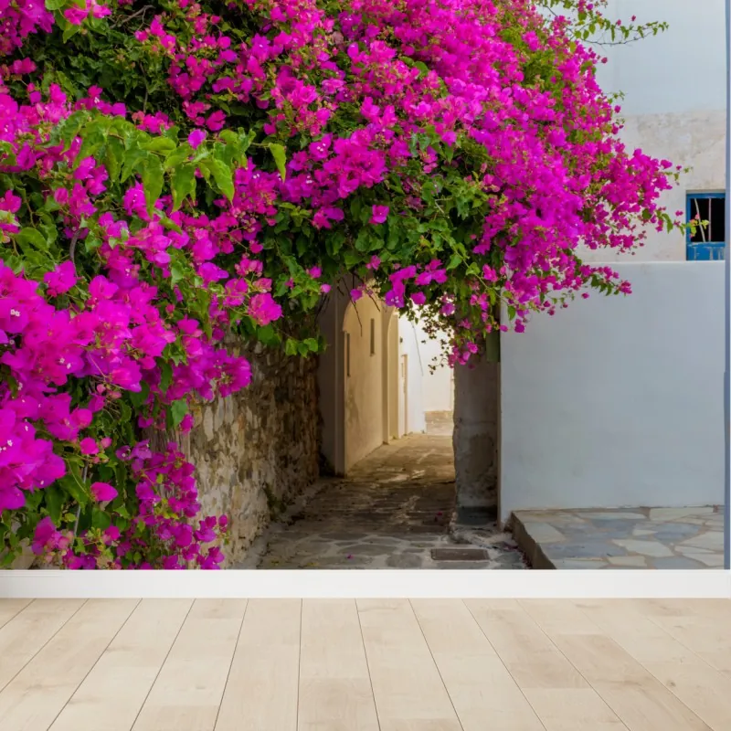 Wall mural blooming bougainvillea in Naousa alley