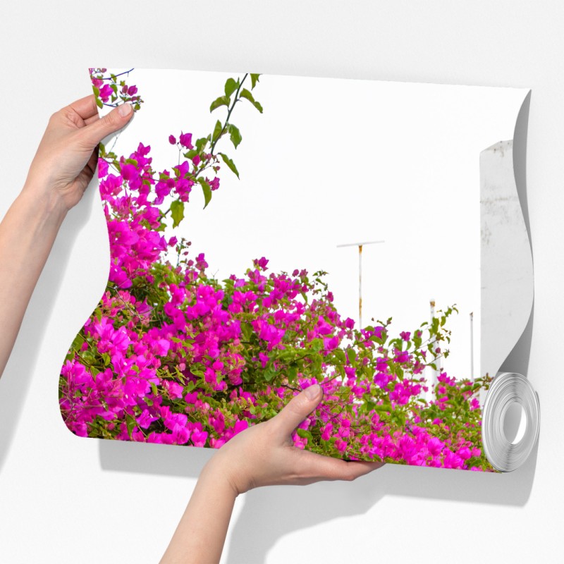 Fototapeta kwitnąca bugenwilla w uliczce Naousa – Wallissimo® Fototapeta kwitnąca bugenwilla w uliczce Naousa – Wallissimo®