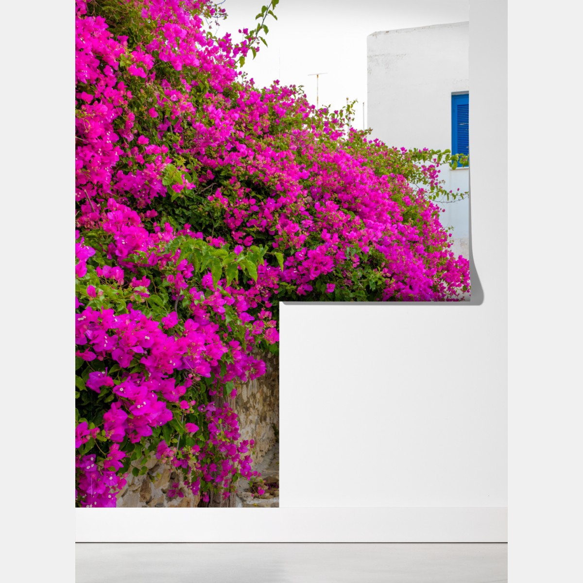 Fototapeta kwitnąca bugenwilla w uliczce Naousa – Wallissimo® Fototapeta kwitnąca bugenwilla w uliczce Naousa – Wallissimo®