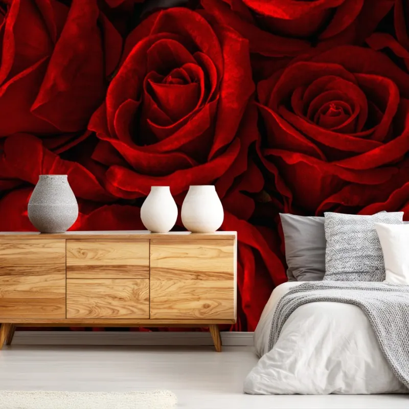 Wall mural lush red roses close-up