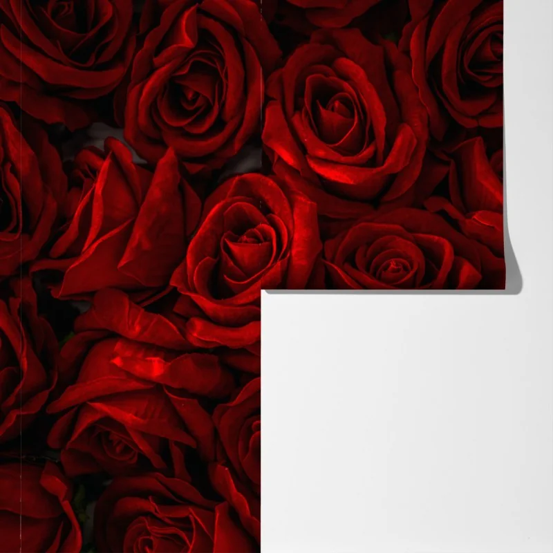 Fototapeta intensywne czerwone róże z bliska – Wallissimo® Fototapeta intensywne czerwone róże z bliska – Wallissimo®