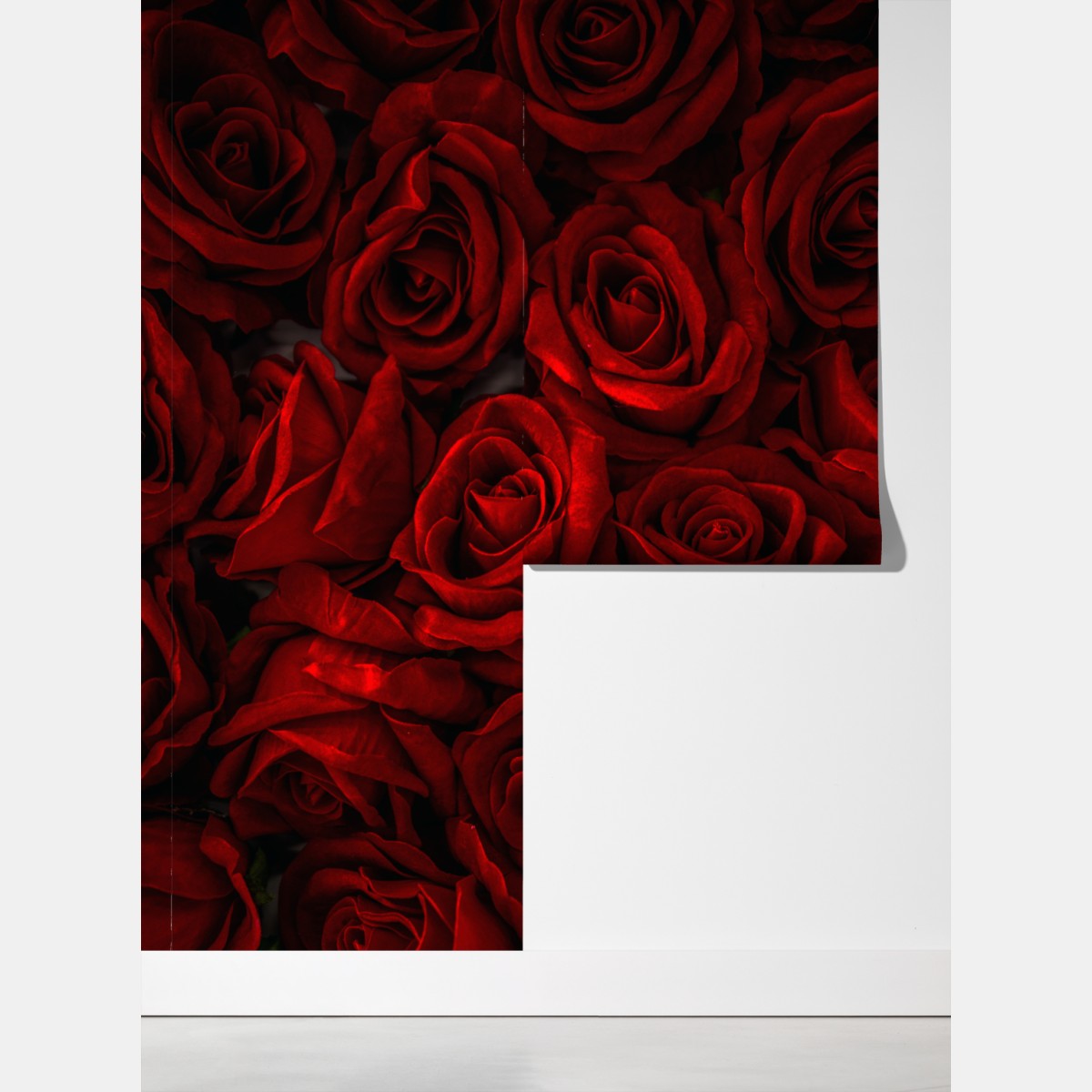 Fototapeta intensywne czerwone róże z bliska – Wallissimo® Fototapeta intensywne czerwone róże z bliska – Wallissimo®