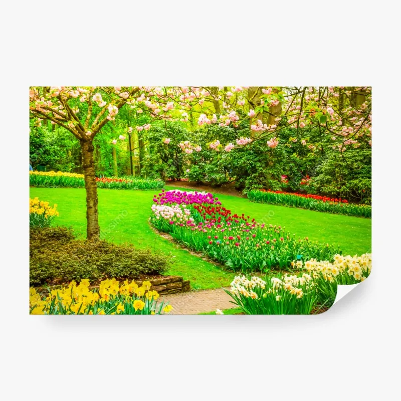 Fototapeta kolorowe domy nad kanałem w Burano – Wallissimo®