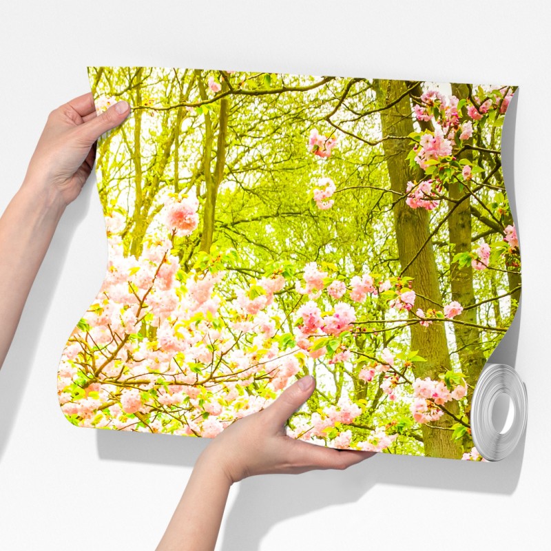 Fototapeta wiosenny ogród w rozkwicie: tulipany i kwiat wiśni – Wallissimo® Fototapeta wiosenny ogród w rozkwicie: tulipany i kwiat wiśni – Wallissimo®