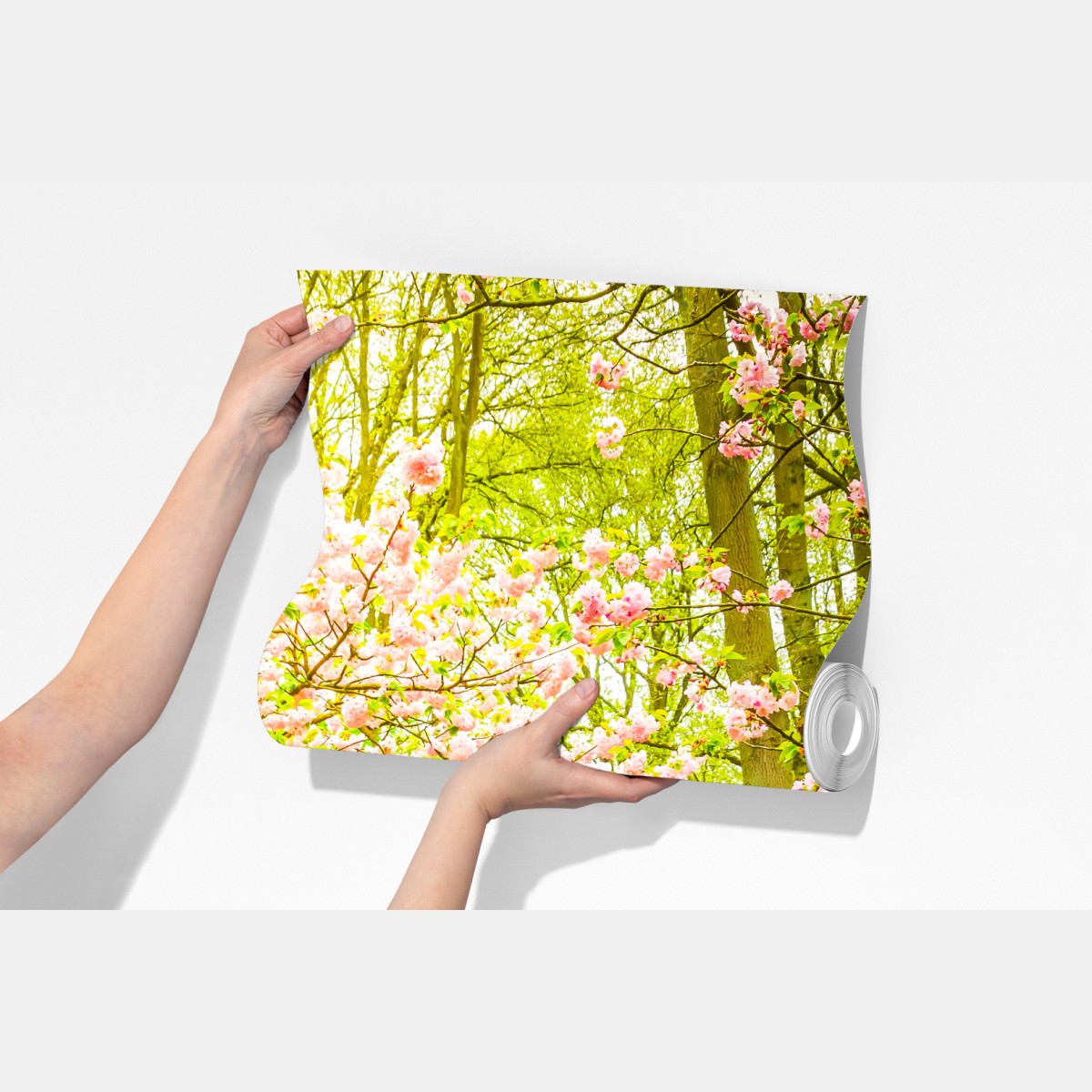 Fototapeta wiosenny ogród w rozkwicie: tulipany i kwiat wiśni – Wallissimo® Fototapeta wiosenny ogród w rozkwicie: tulipany i kwiat wiśni – Wallissimo®