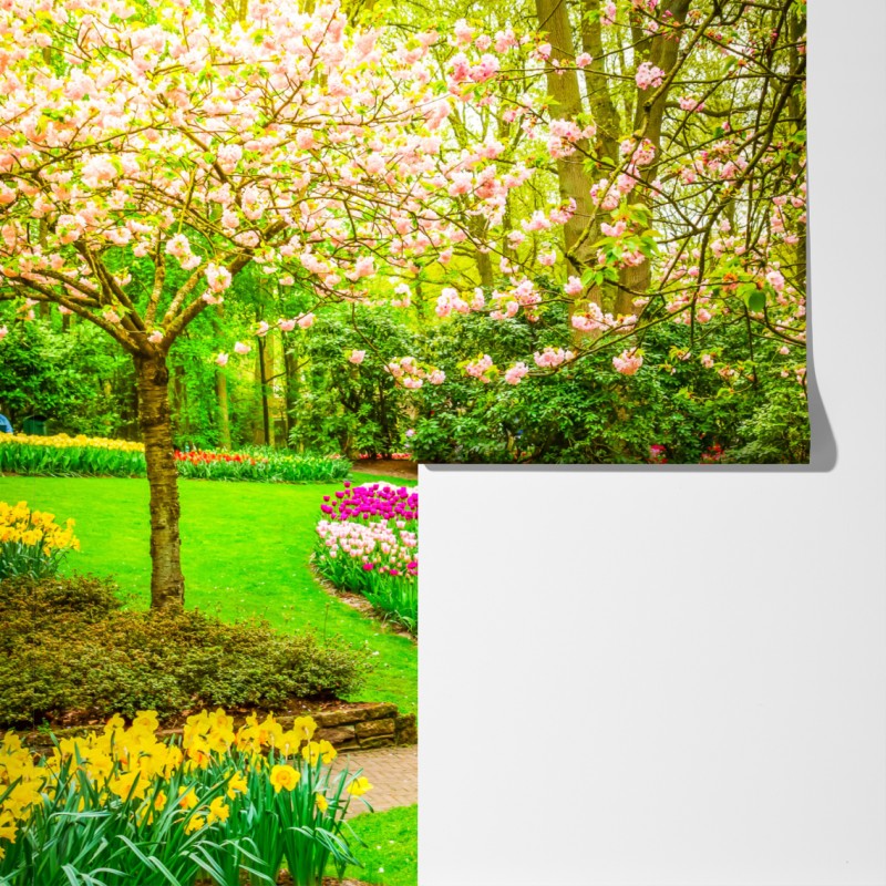 Fototapeta wiosenny ogród w rozkwicie: tulipany i kwiat wiśni – Wallissimo® Fototapeta wiosenny ogród w rozkwicie: tulipany i kwiat wiśni – Wallissimo®