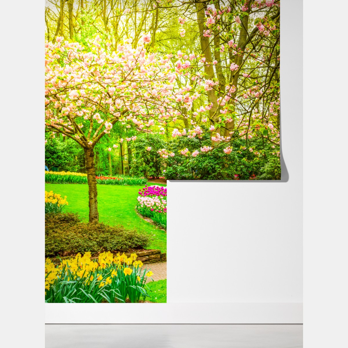 Fototapeta wiosenny ogród w rozkwicie: tulipany i kwiat wiśni – Wallissimo® Fototapeta wiosenny ogród w rozkwicie: tulipany i kwiat wiśni – Wallissimo®