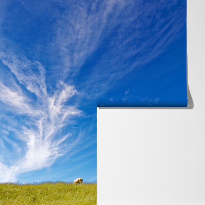 Fototapeta spokojna łąka pod błękitnym niebem – Wallissimo® Fototapeta spokojna łąka pod błękitnym niebem – Wallissimo®
